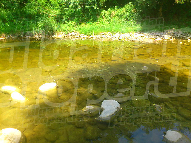 Gallery Picture 23