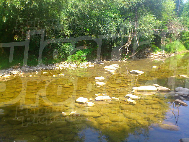 Gallery Picture 25