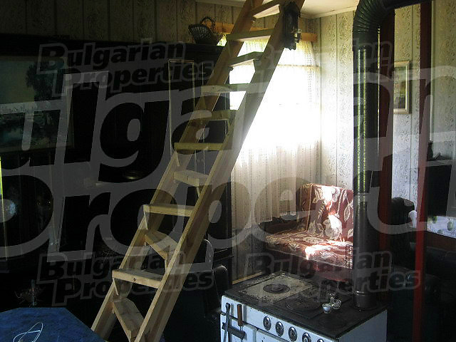Gallery Picture 3
