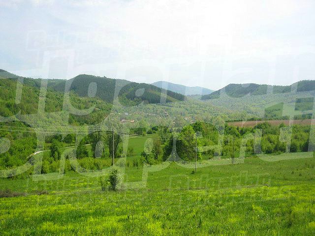 Gallery Picture 5