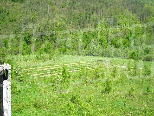 Gallery Picture 6
