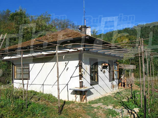 Gallery Picture 8