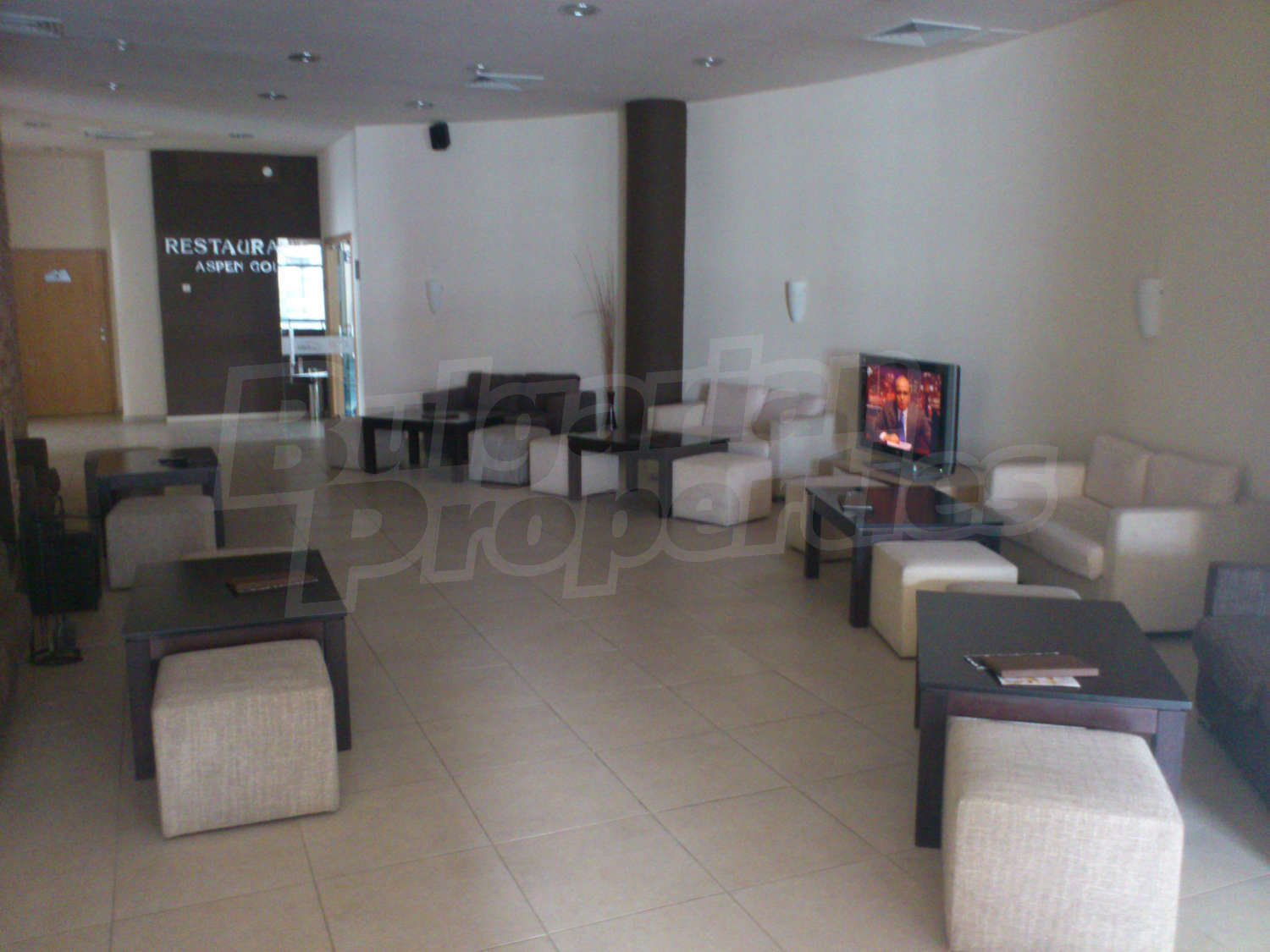 Gallery Picture 26