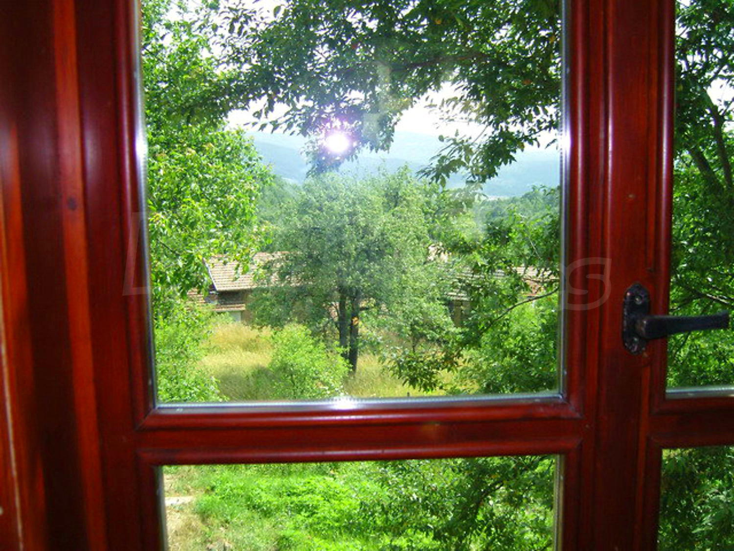 Gallery Picture 18