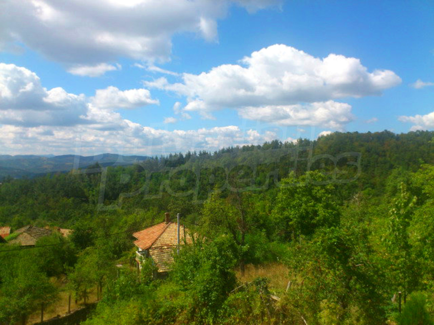 Gallery Picture 28