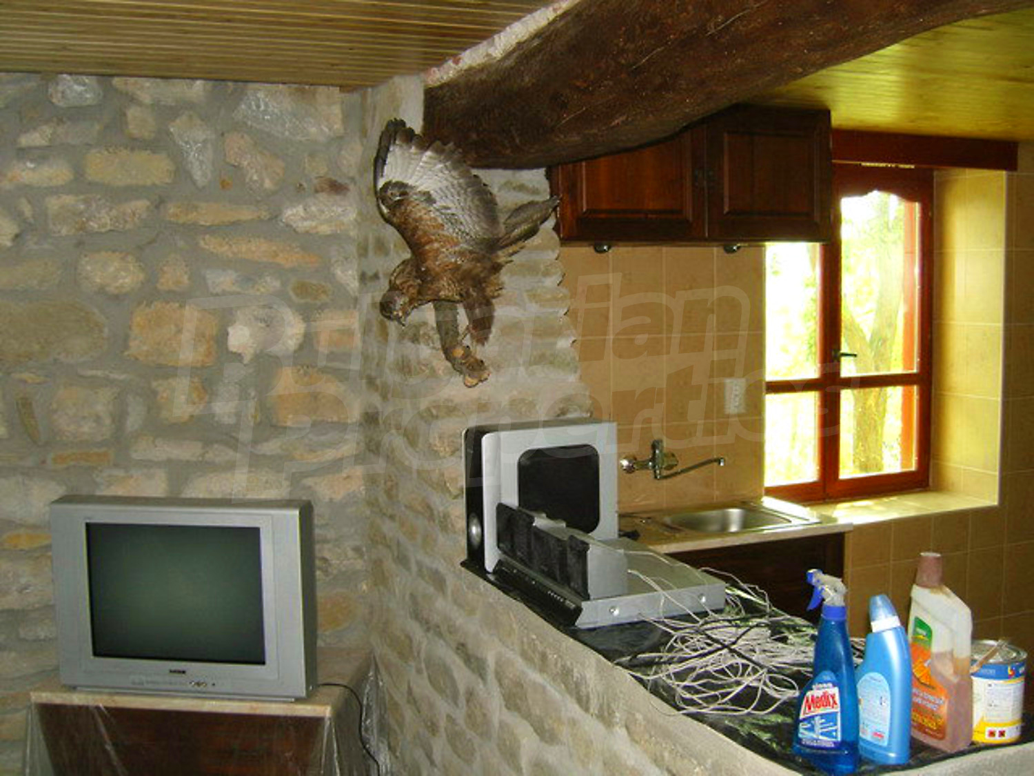 Gallery Picture 3