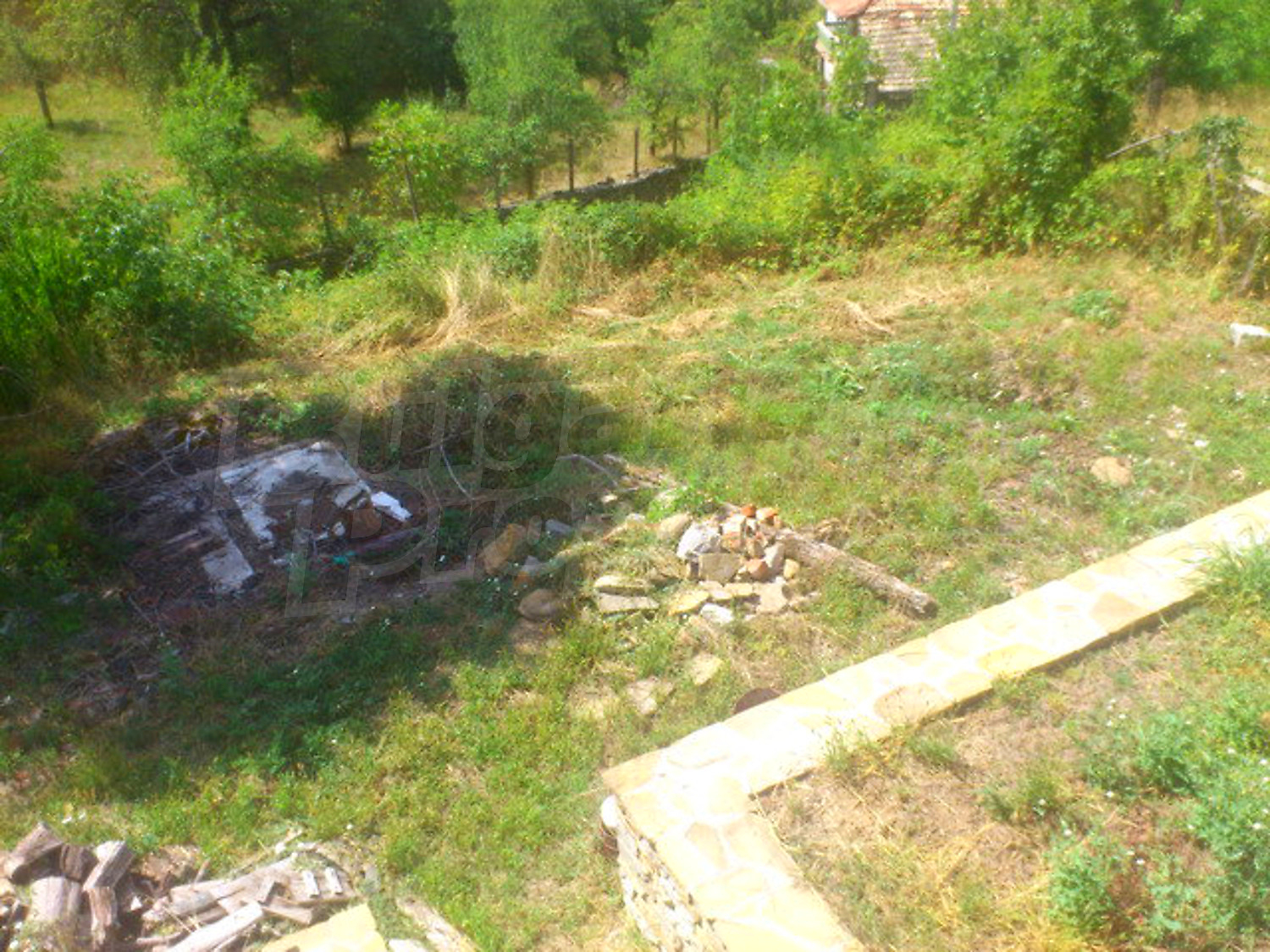 Gallery Picture 31