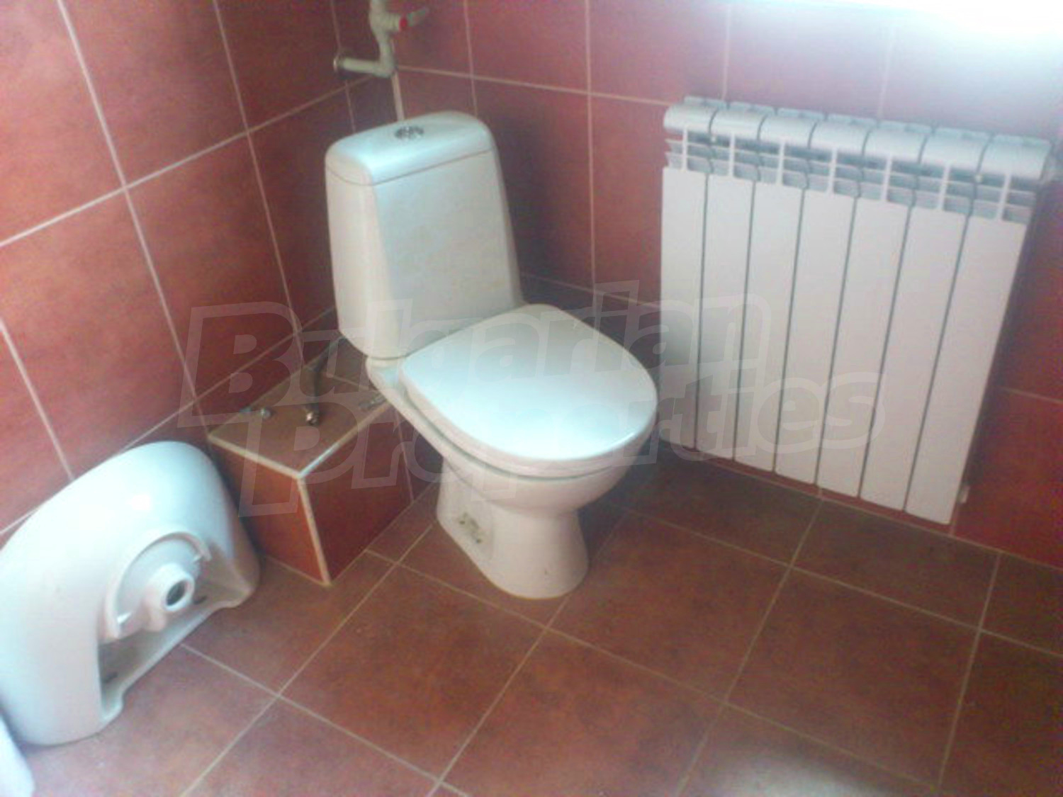 Gallery Picture 44