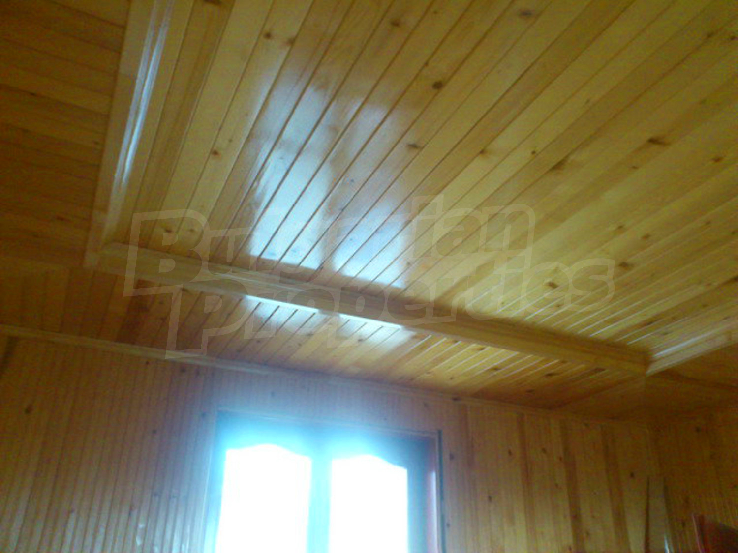 Gallery Picture 46