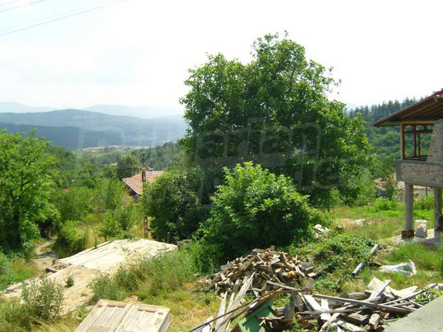 Gallery Picture 5