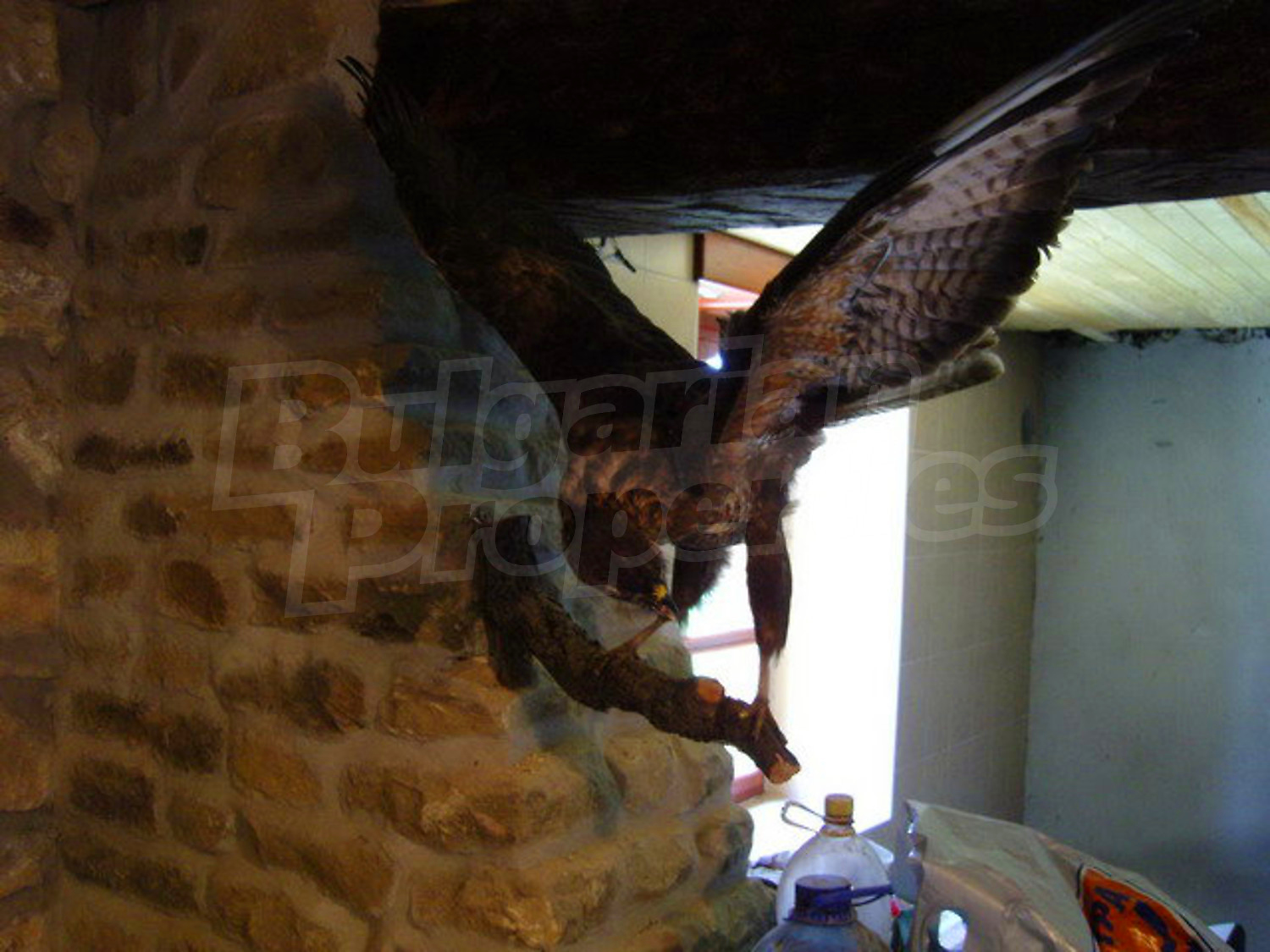 Gallery Picture 51