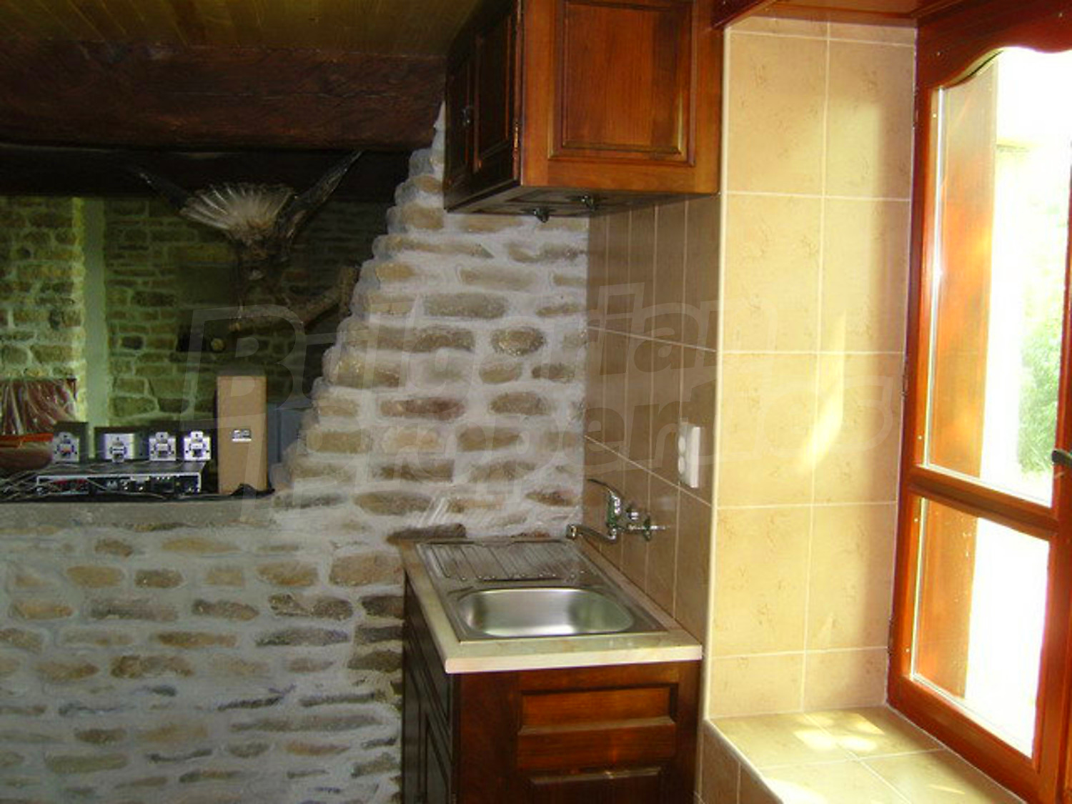 Gallery Picture 56