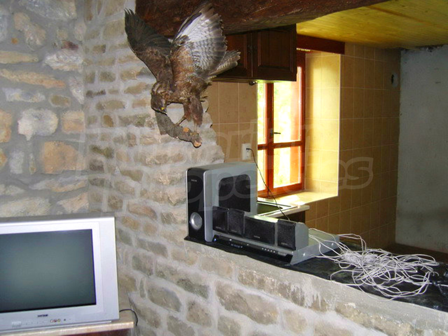 Gallery Picture 58