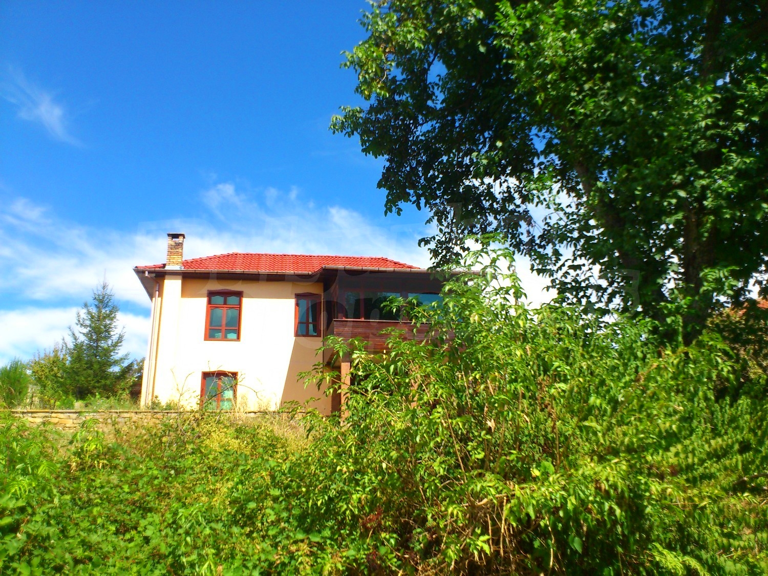 Gallery Picture 66
