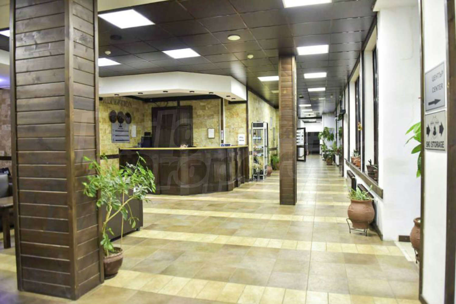 Gallery Picture 19