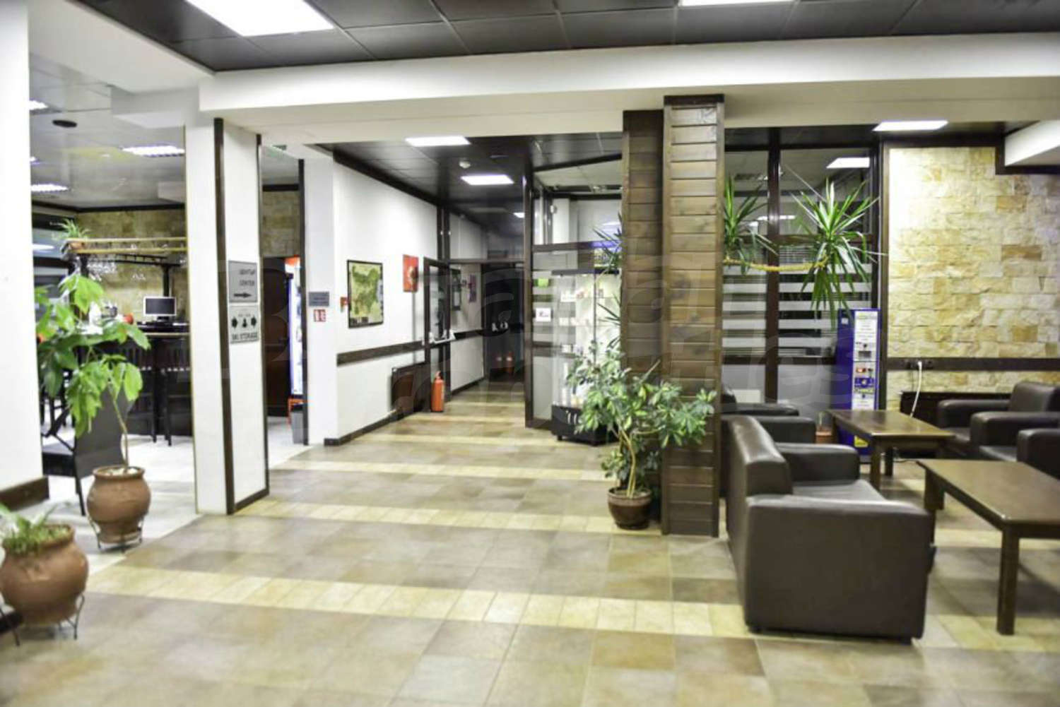 Gallery Picture 21