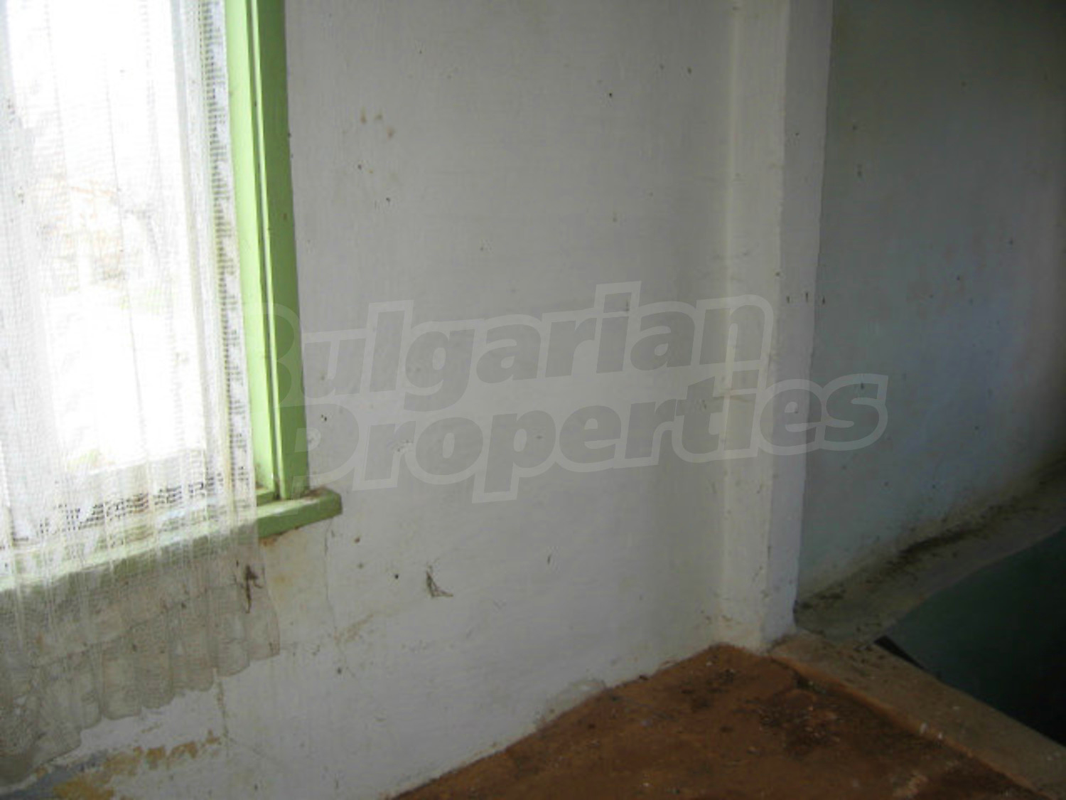Gallery Picture 12