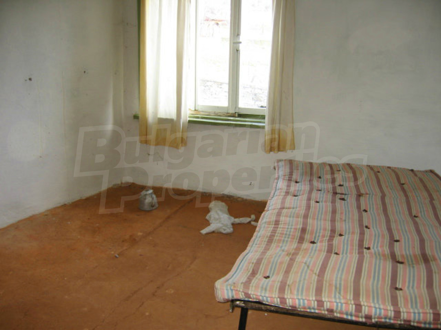 Gallery Picture 14