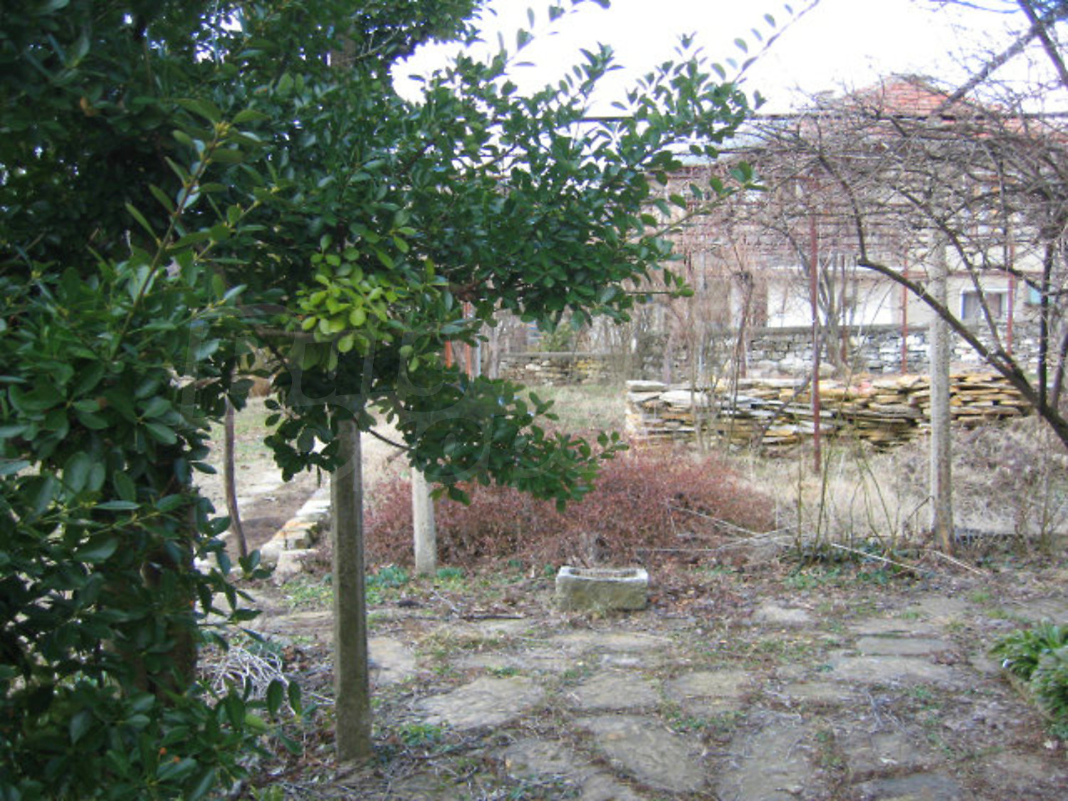Gallery Picture 19