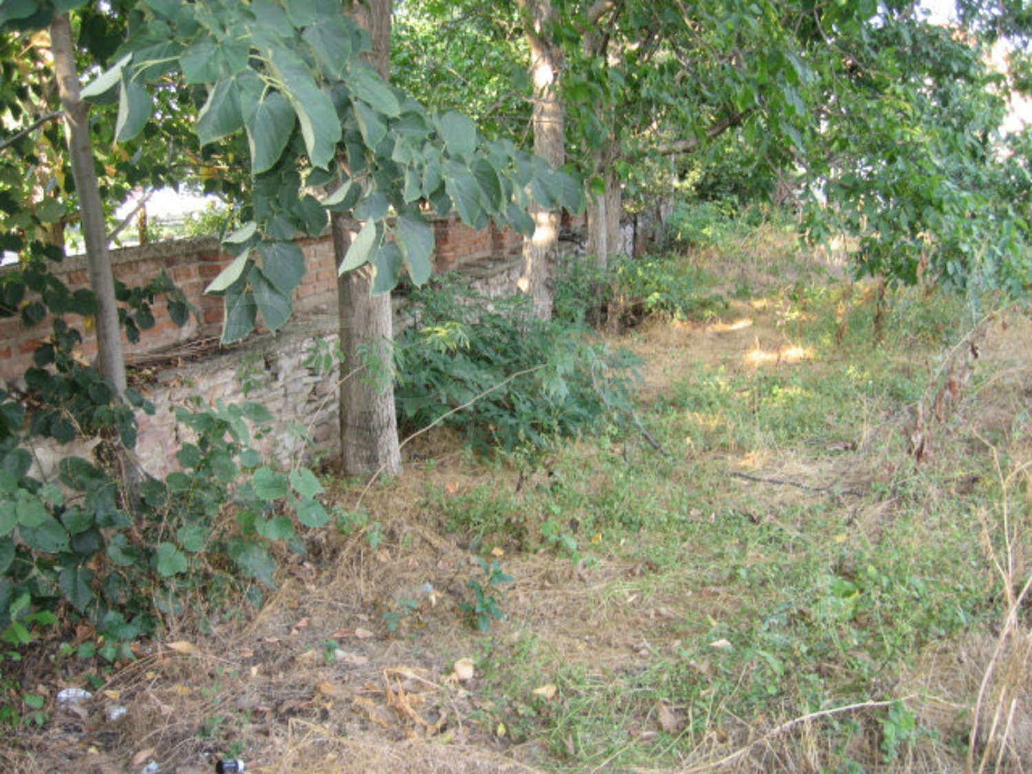Gallery Picture 38