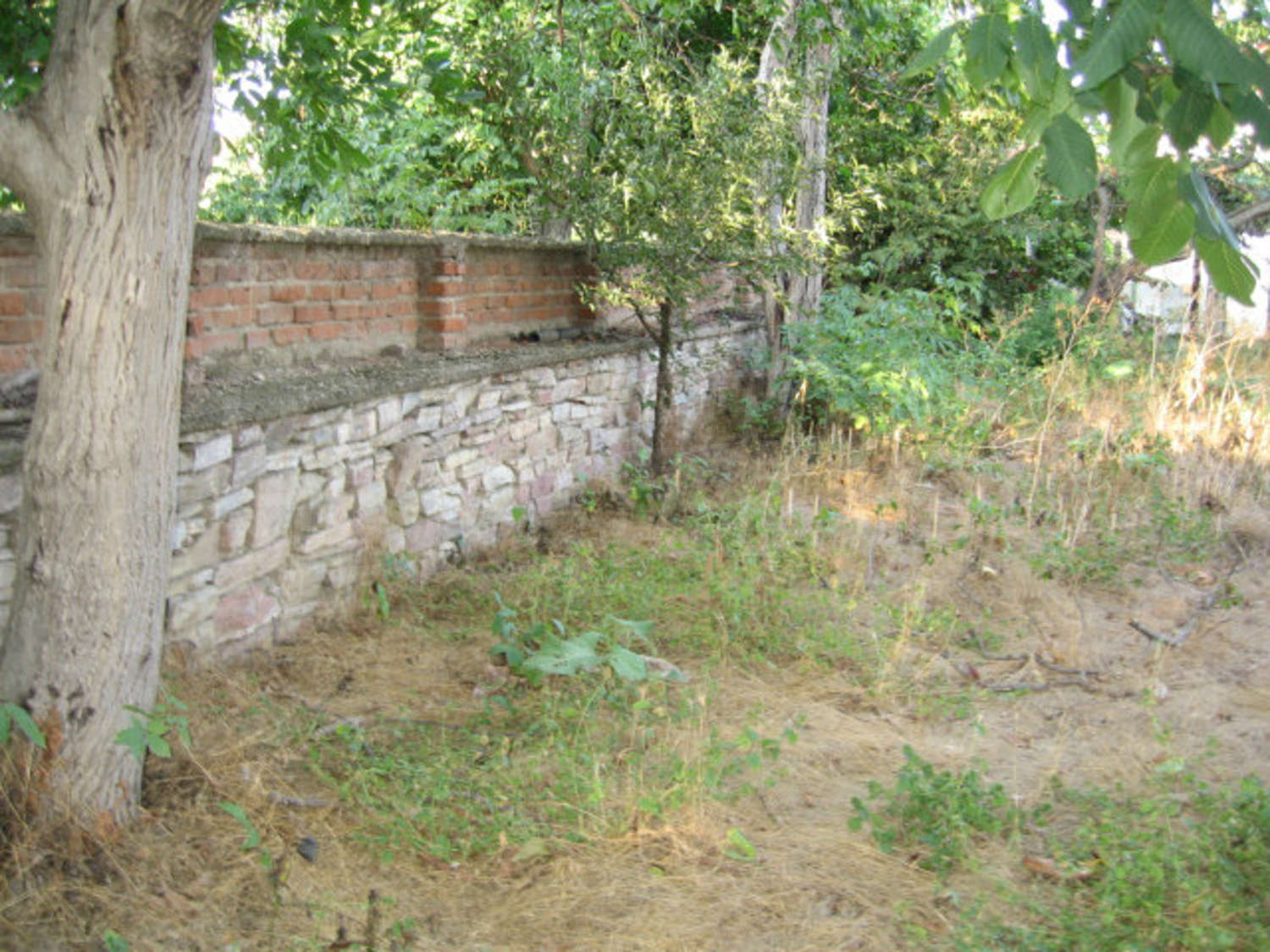 Gallery Picture 40