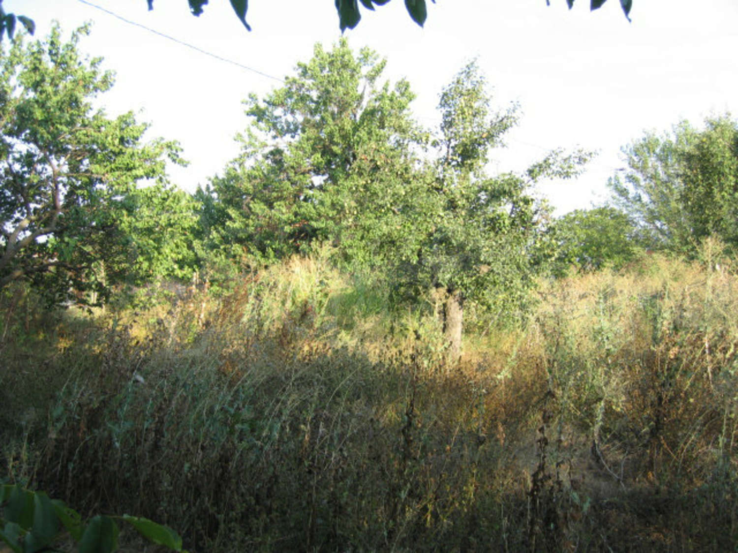 Gallery Picture 41