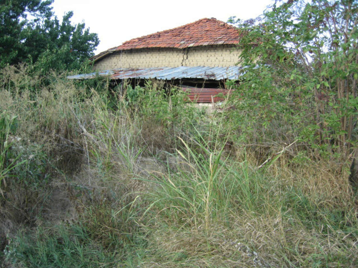 Gallery Picture 45