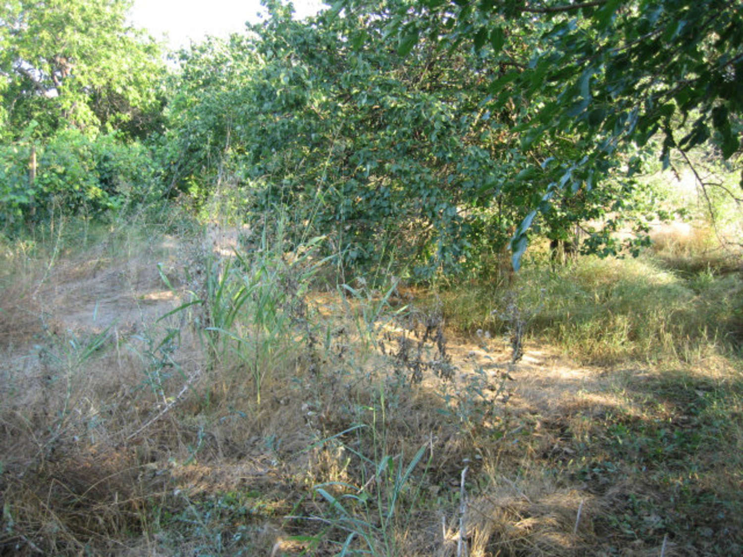 Gallery Picture 49