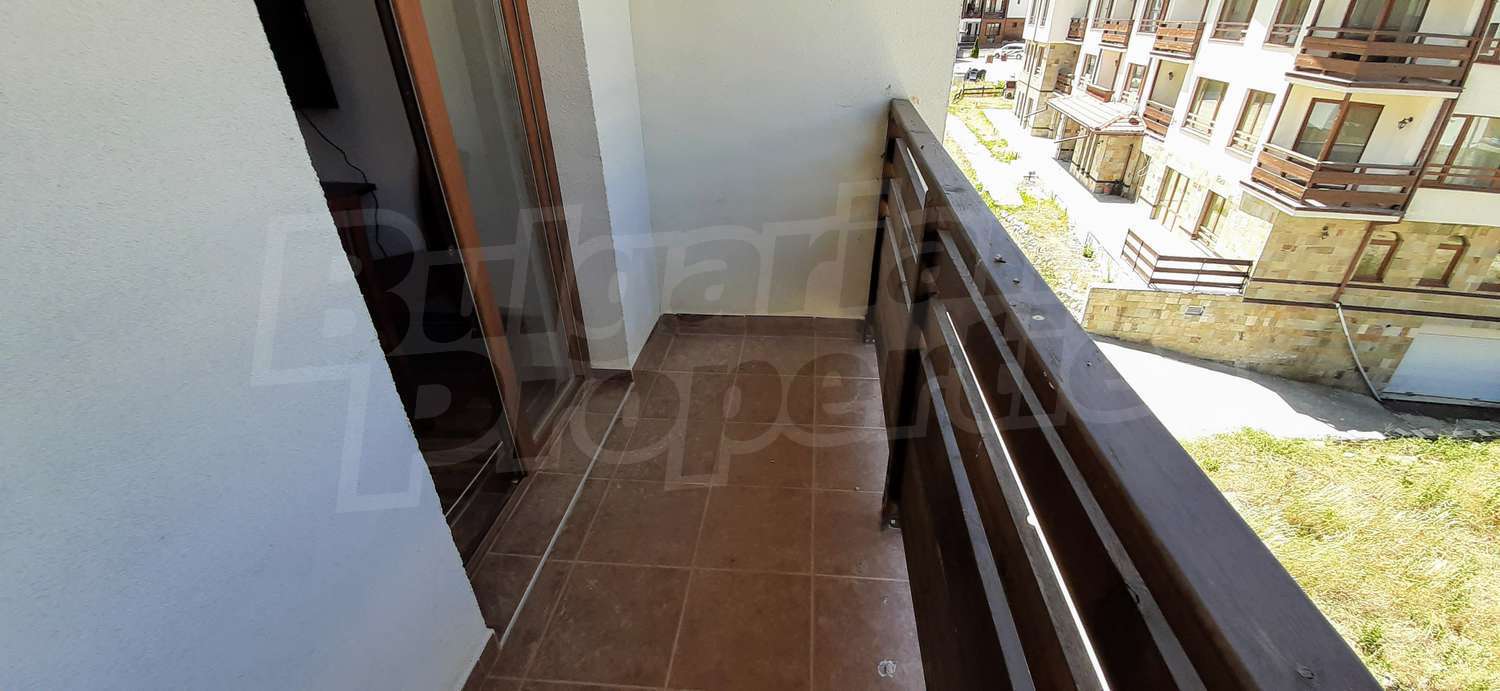 Gallery Picture 11