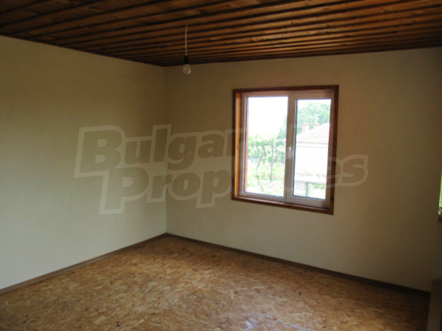 Gallery Picture 24