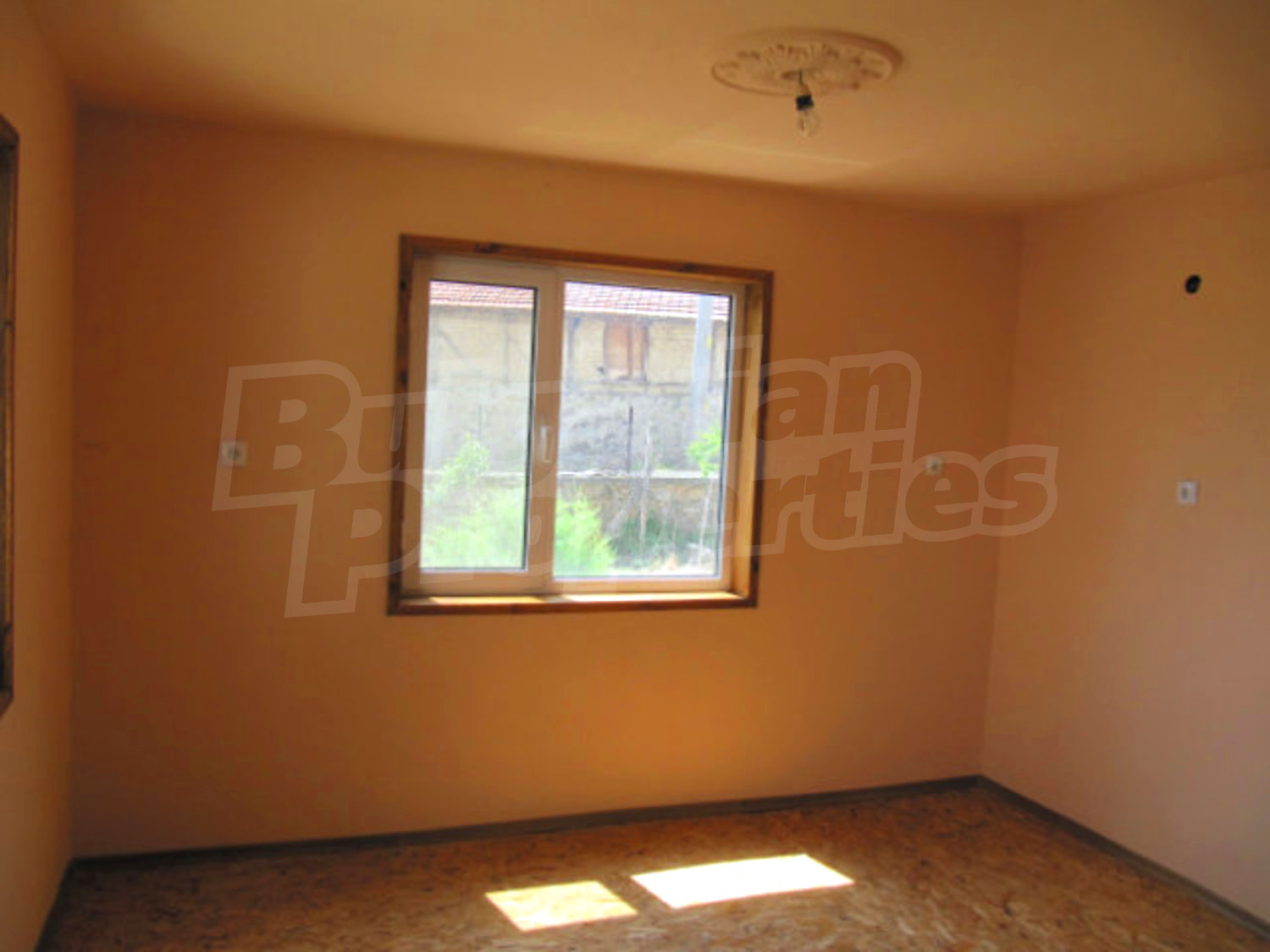 Gallery Picture 31