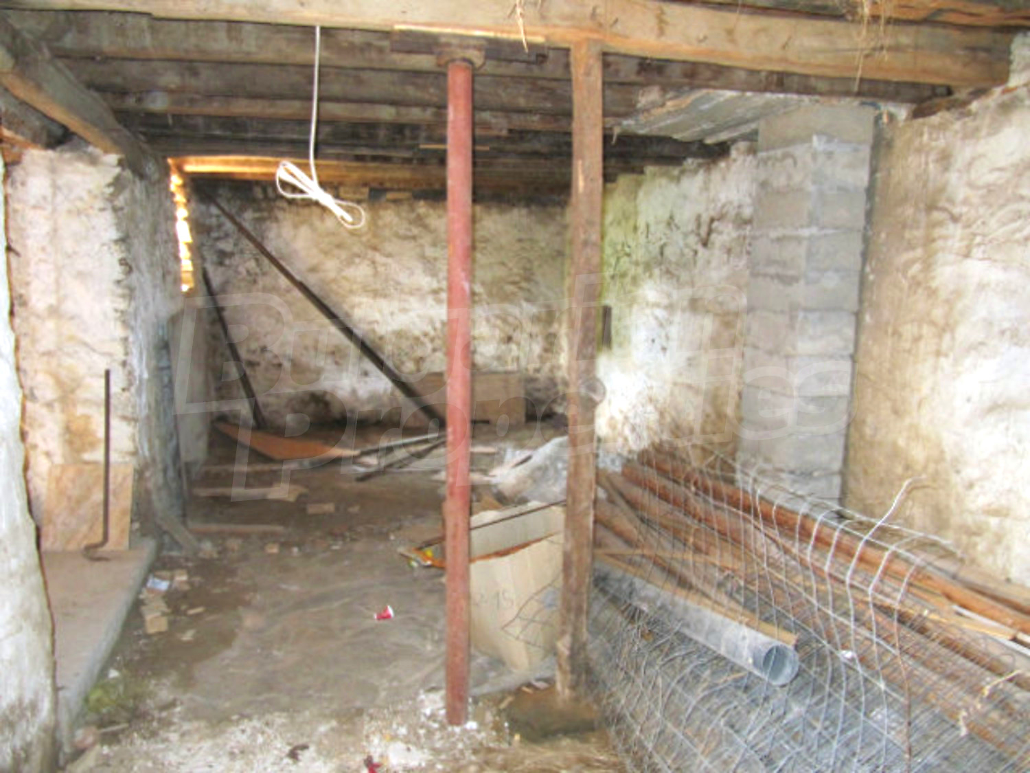 Gallery Picture 37