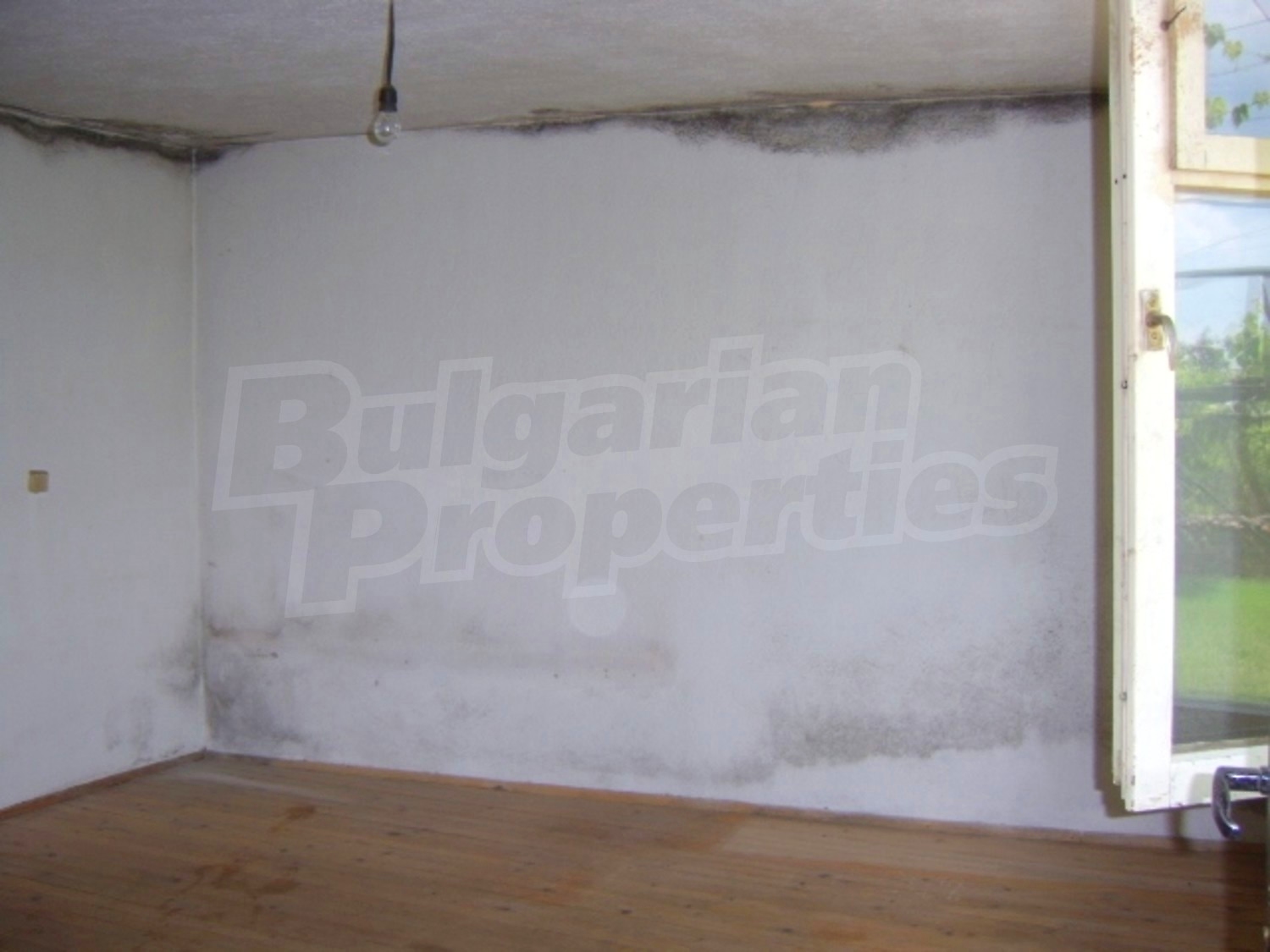 Gallery Picture 17