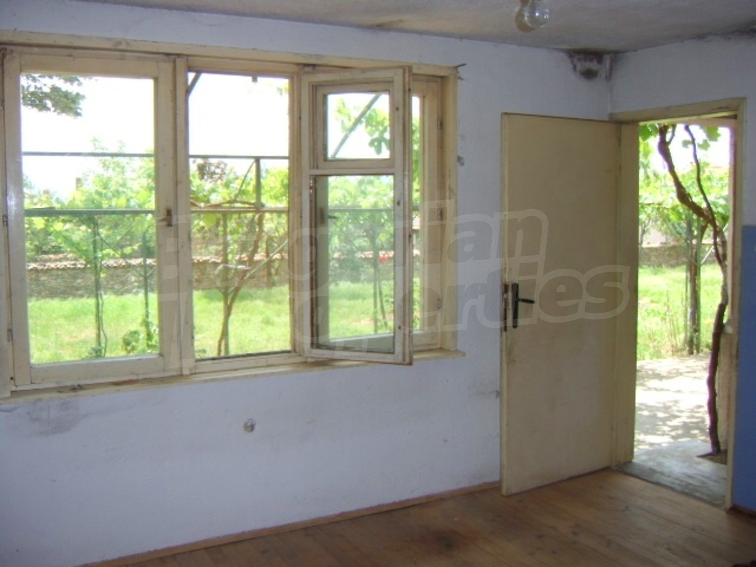 Gallery Picture 18