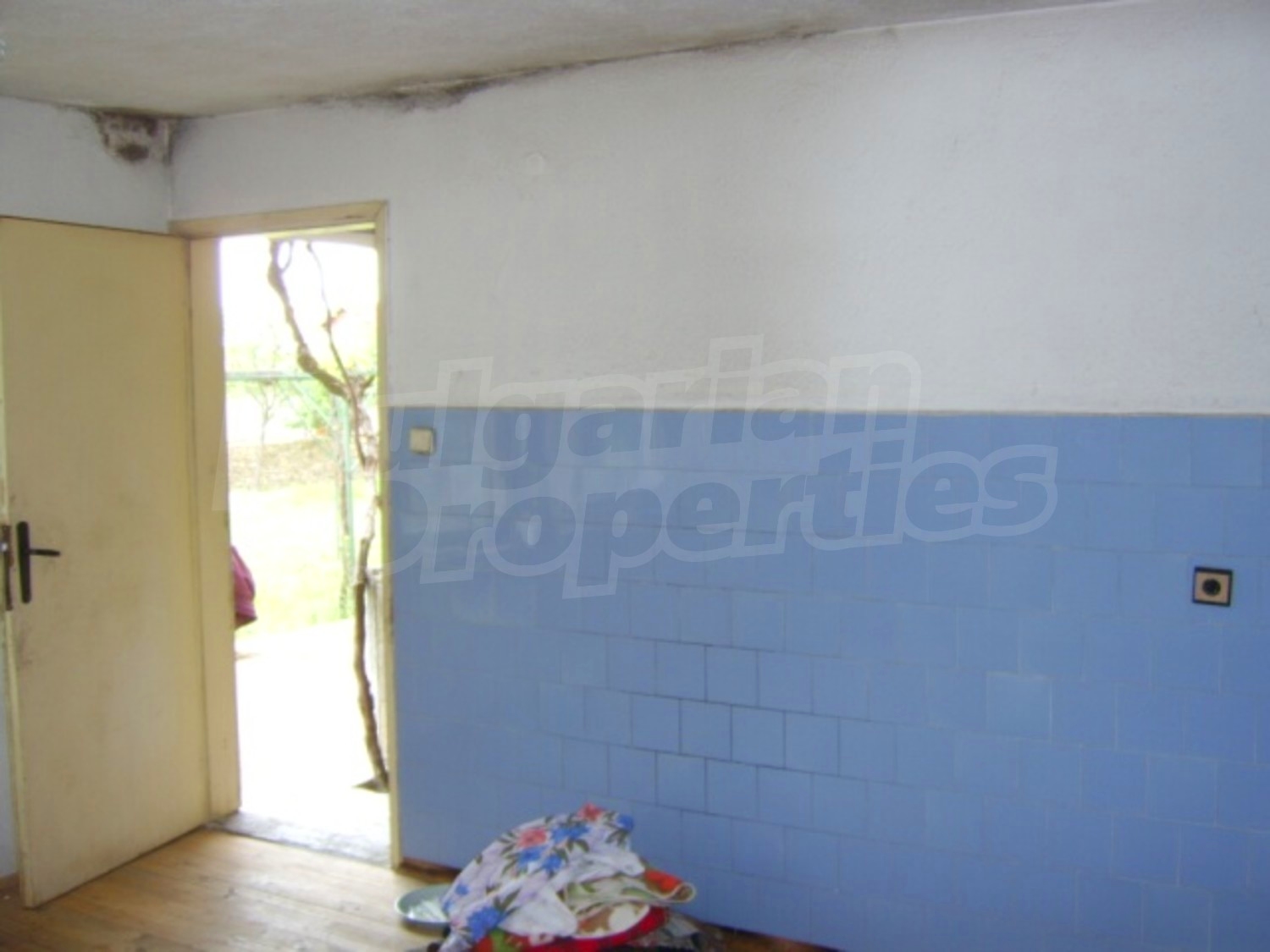 Gallery Picture 19