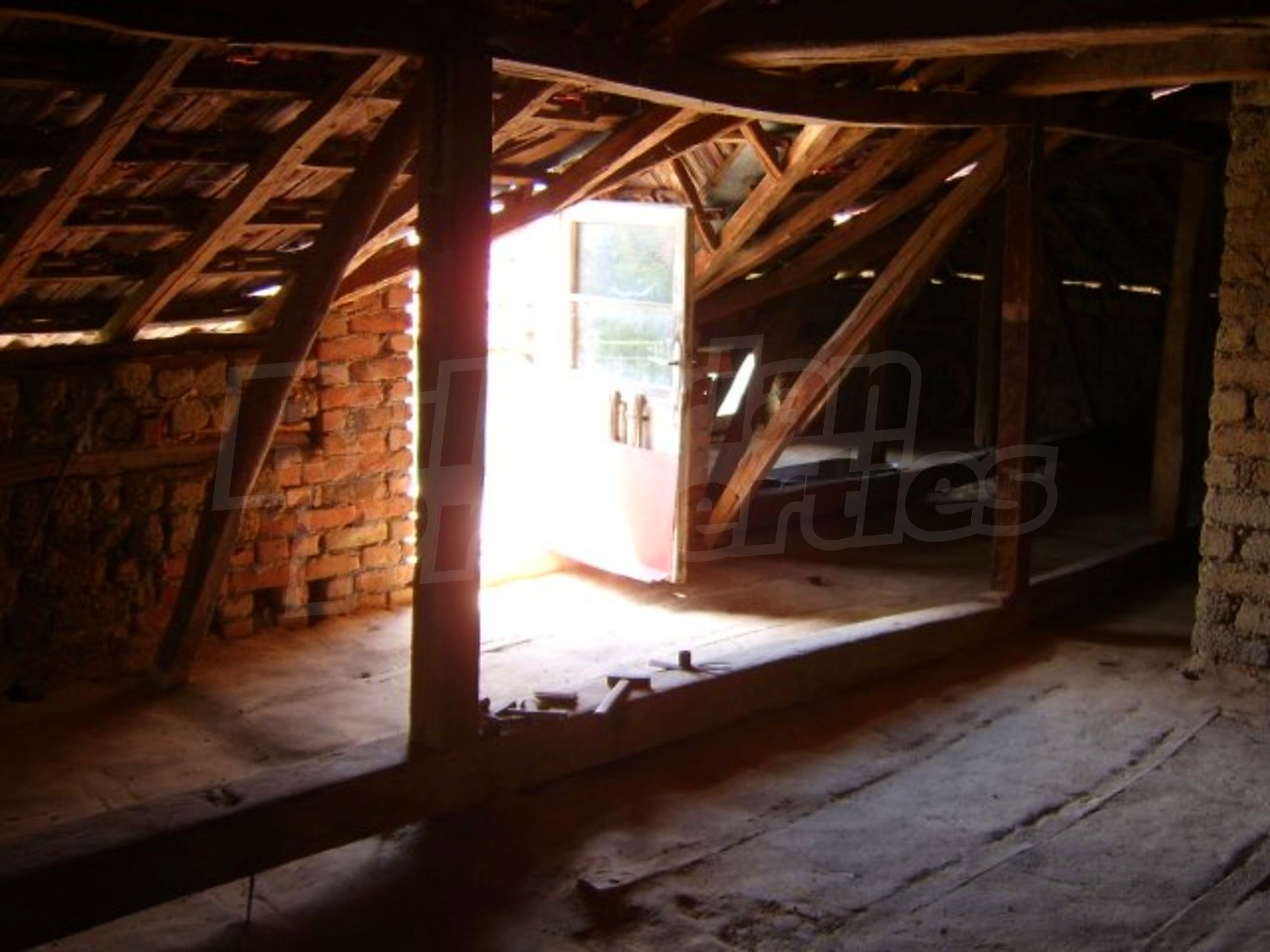 Gallery Picture 23