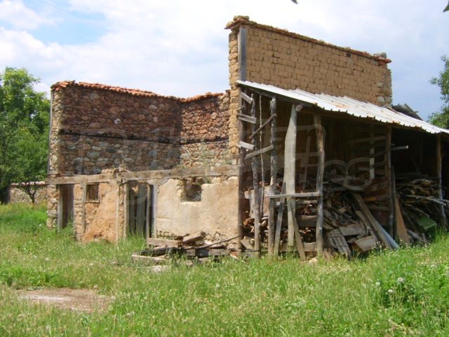 Gallery Picture 28