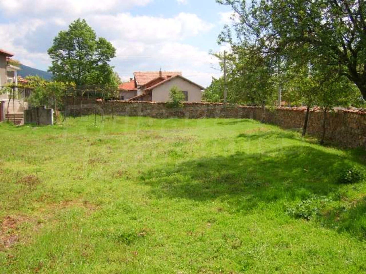 Gallery Picture 29