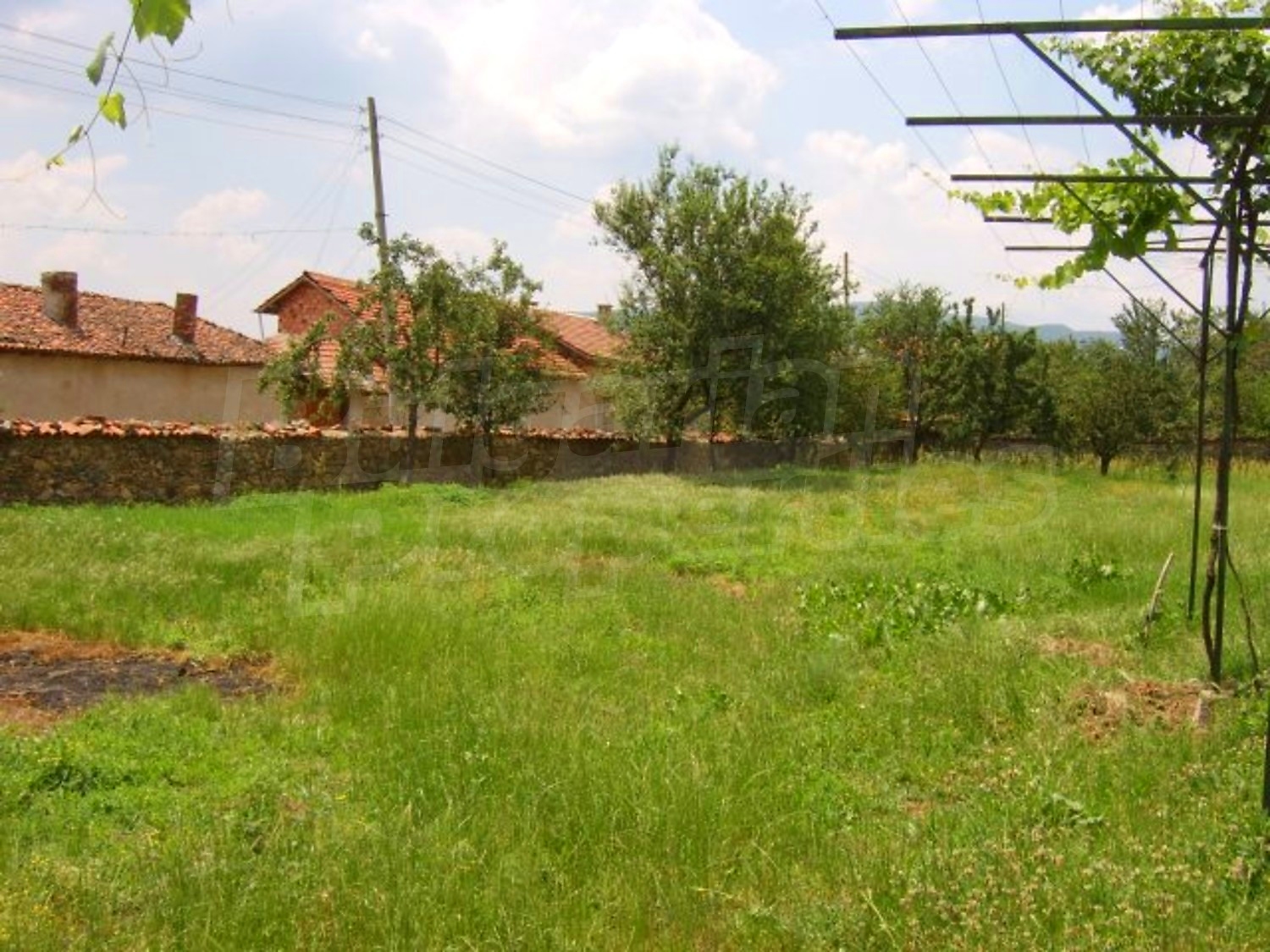 Gallery Picture 31
