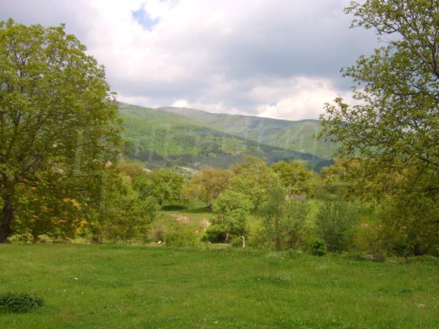 Gallery Picture 39