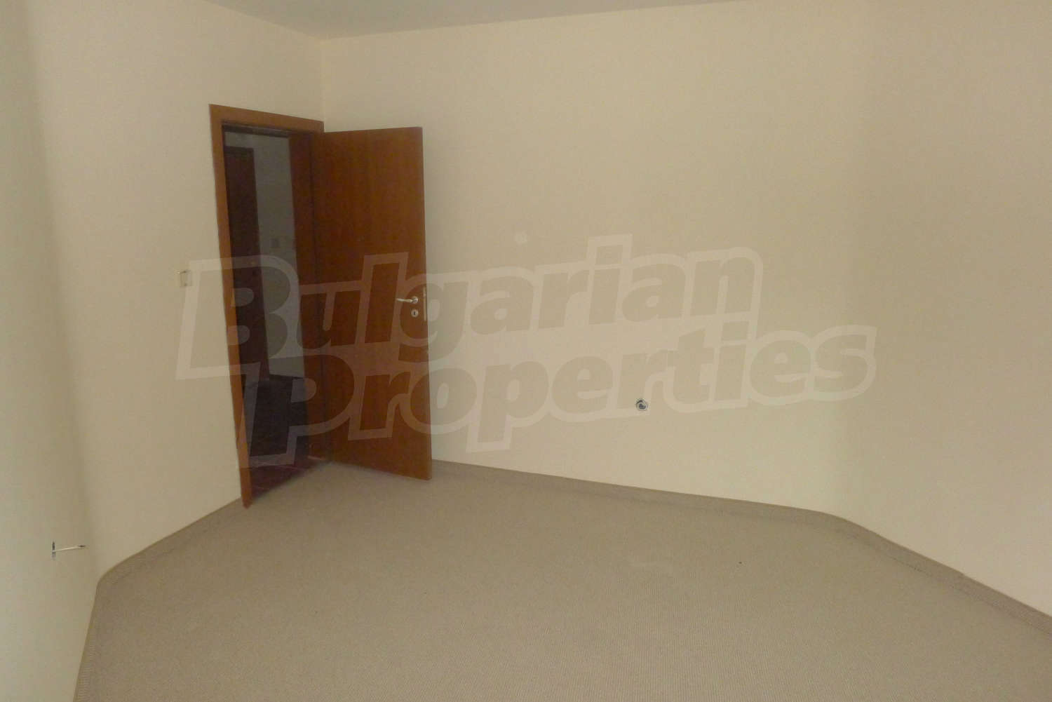 Gallery Picture 11