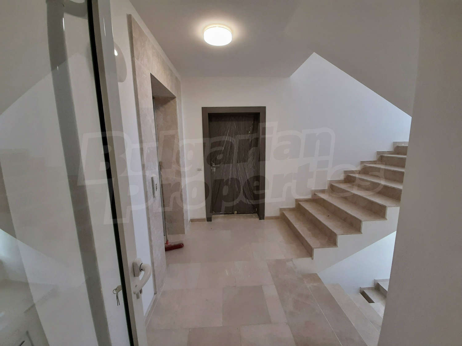 Gallery Picture 12