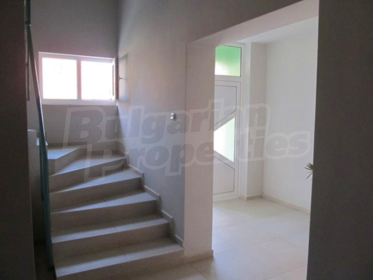 Gallery Picture 7