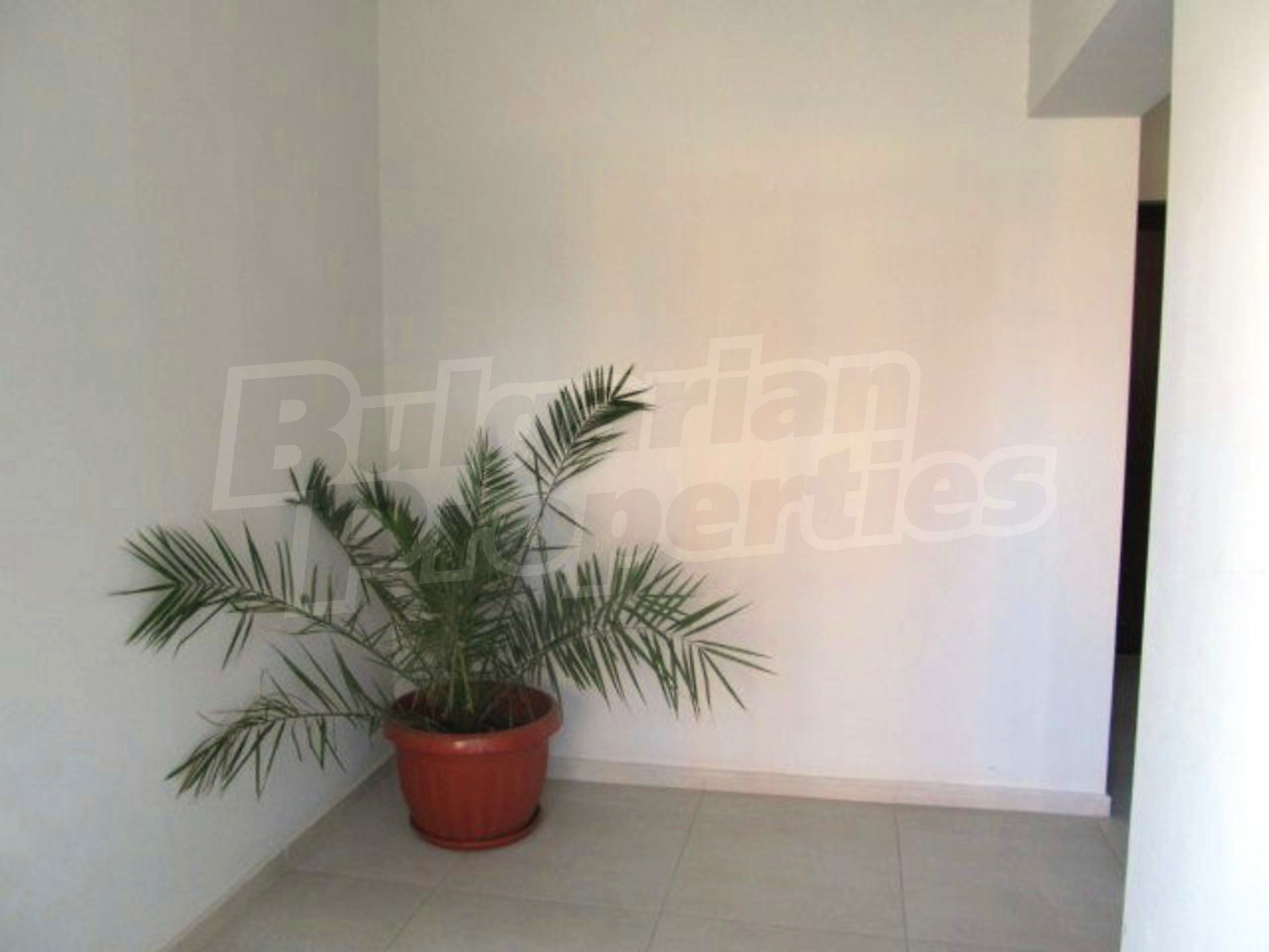 Gallery Picture 8