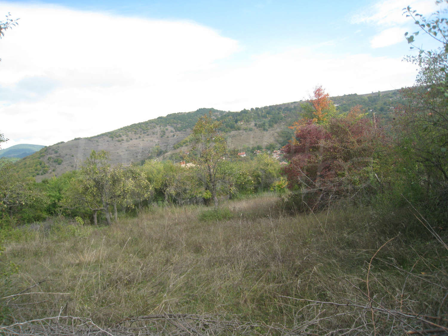 Gallery Picture 10