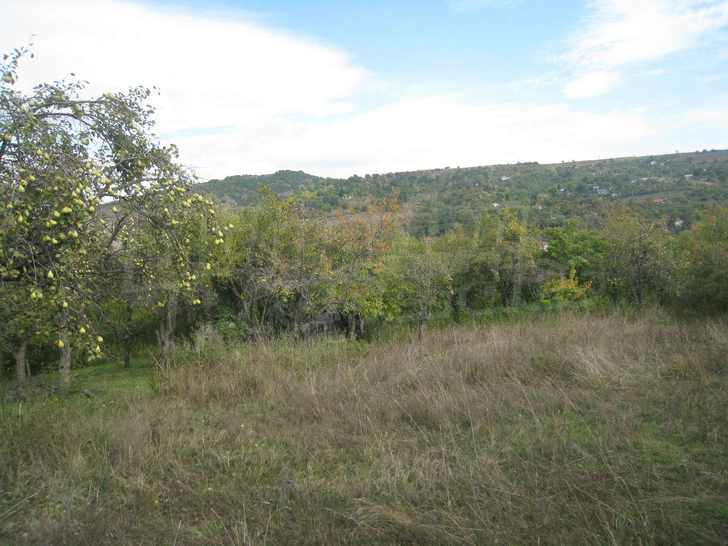Gallery Picture 11