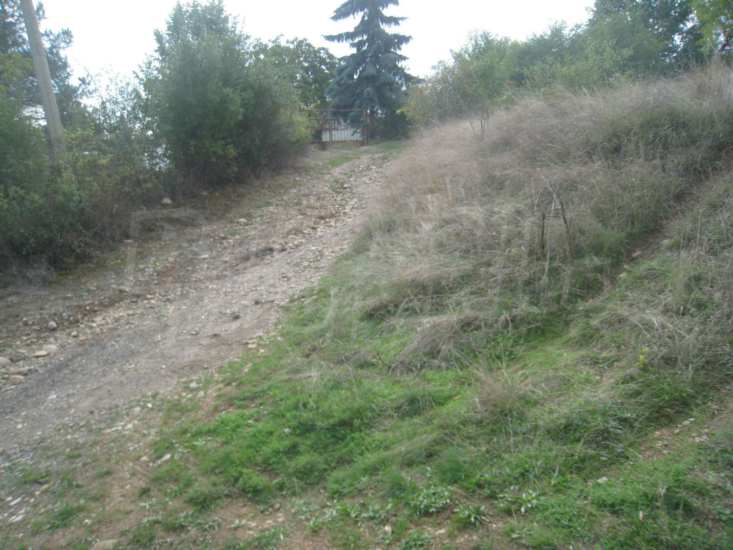 Gallery Picture 15