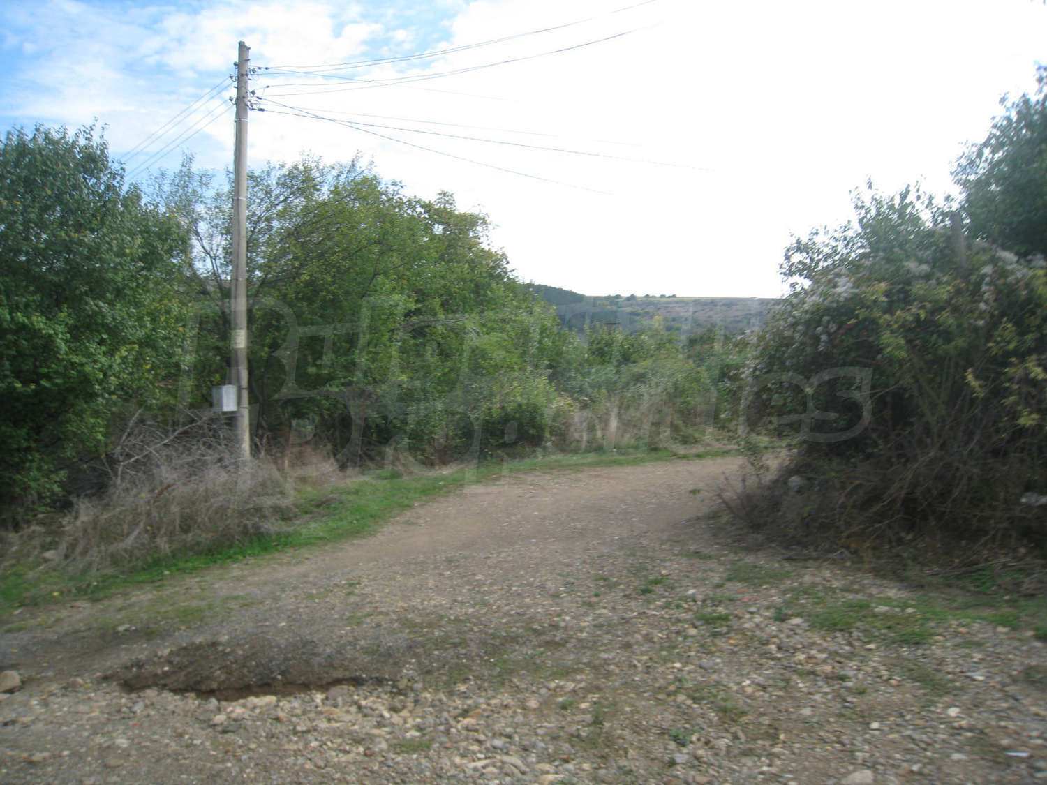 Gallery Picture 16