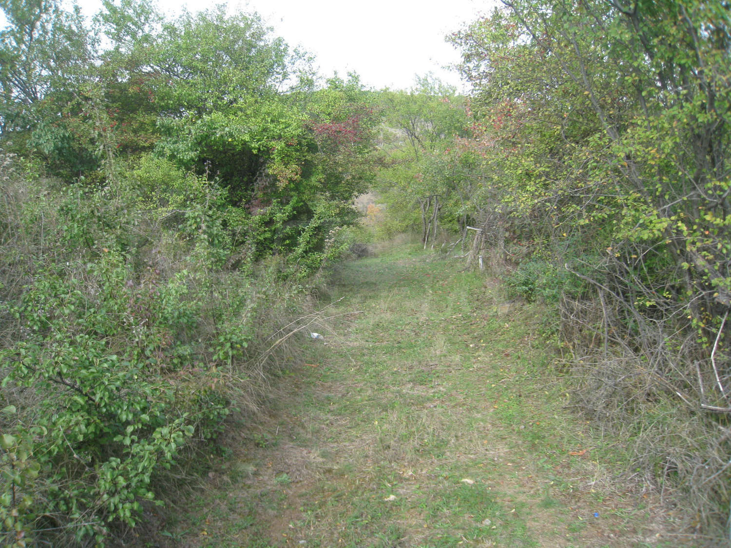 Gallery Picture 7