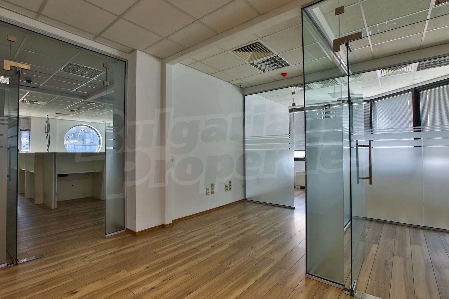 Gallery Picture 13